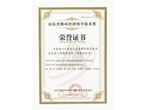 热烈：豖PJ环境集团获得2021年度山东省循环经济科学技术奖二等奖